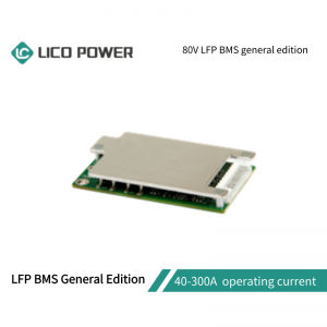WGG80/LFP BMS General Edition