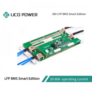 WGS36/ LFP BMS Smart Edition Series
